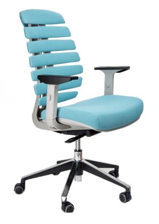 Kancelářská židle Node - Kancelářská židle FISH BONES šedý plast, tyrkysová látka 26-30