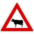  Dopravní značka Zvířata (A13)