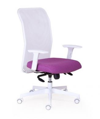 Ergonomické židle - zdravotní Peška - Techno Medica Balance