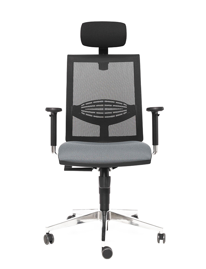 Kancelářská židle Lyra 217-SY P HO BR-209-N6 F40-N6 RM60 BO D8010/D8033/NET202