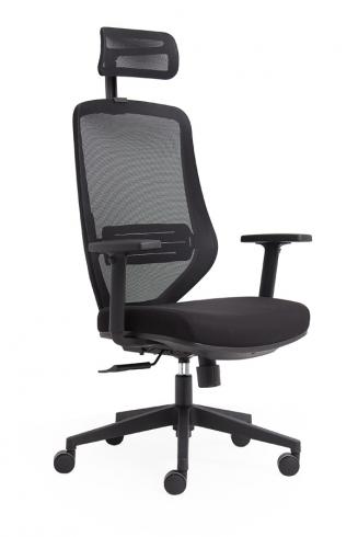 Ergonomické židle - zdravotní Peška Astra N + P